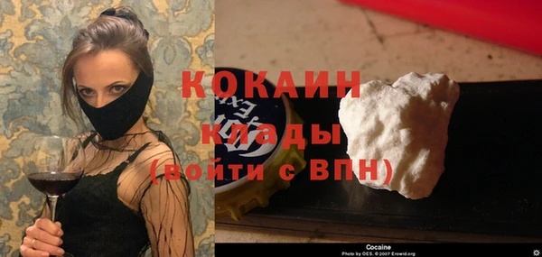 индика Зеленокумск