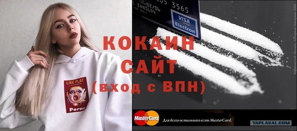 индика Зеленокумск