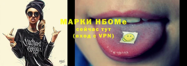 индика Зеленокумск