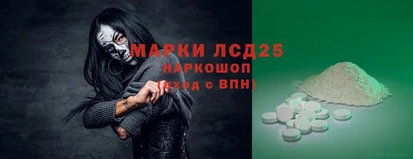 индика Зеленокумск