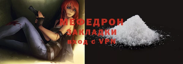 индика Зеленокумск
