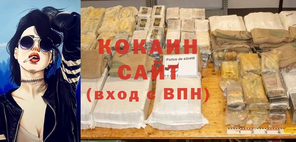 индика Зеленокумск