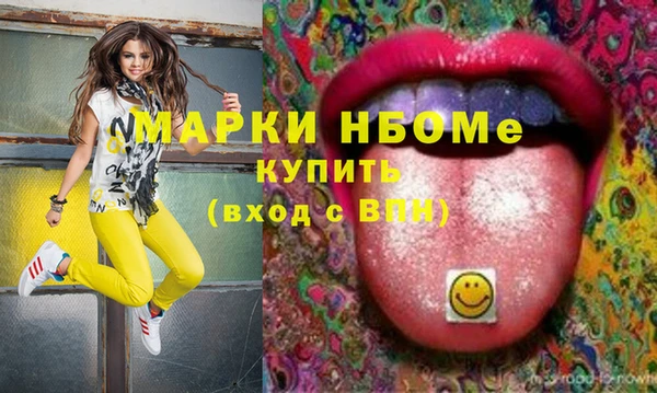 индика Зеленокумск