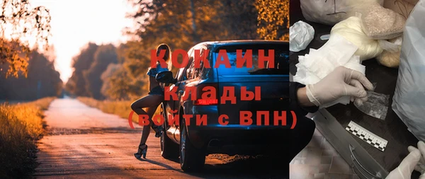 индика Зеленокумск