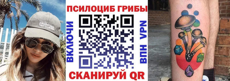 Галлюциногенные грибы Psilocybine cubensis  продажа наркотиков  Заозёрный 